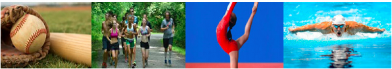 Sports and Economics Initiative Header Sports and Economics Initiative Header